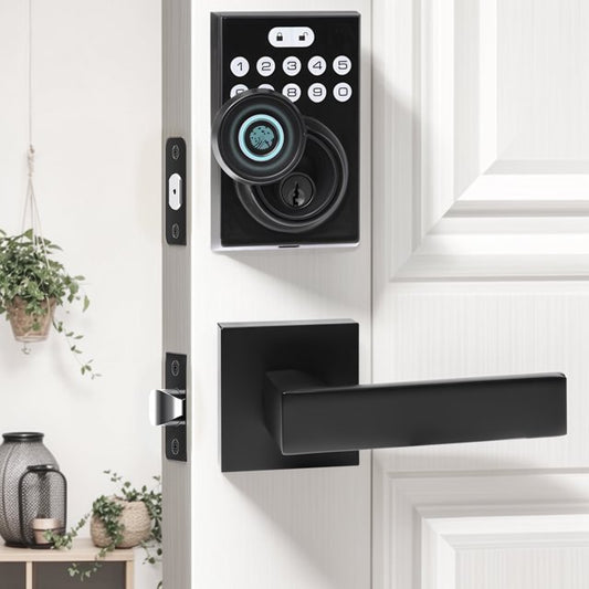 Kalageen Keyless Entry Door Lock Deadbolt with Handle Set,Fingerprint Digital Electronic Lock with APP Control,Perfect for Home,Apartment,Office and Garages,Black