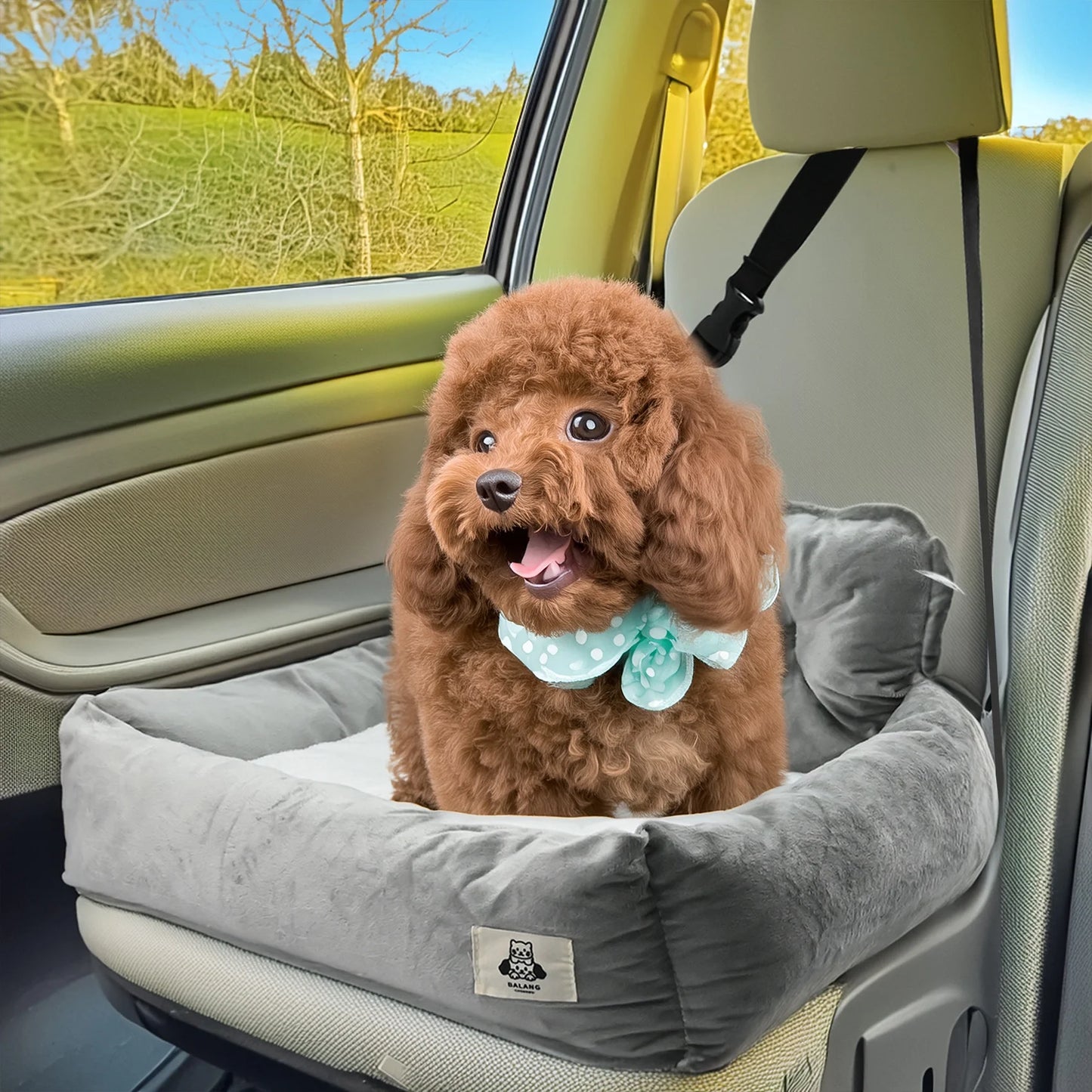 Pet Booster Seat,Pet Car Seat ,Home Kennel for Small Dogs,Cats up to 14lb,Gray